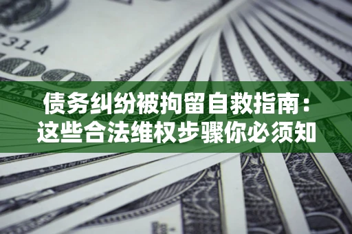 济南债务纠纷被拘留自救指南：这些合法维权步骤你必须知道！