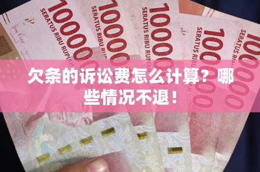 济南欠条的诉讼费怎么计算？哪些情况不退！