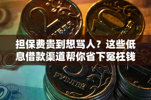 济南担保费贵到想骂人？这些低息借款渠道帮你省下冤枉钱