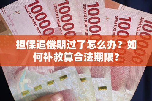 济南担保追偿期过了怎么办？如何补救算合法期限？