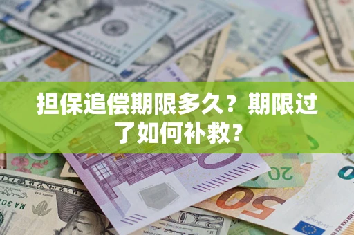济南担保追偿期限多久？期限过了如何补救？