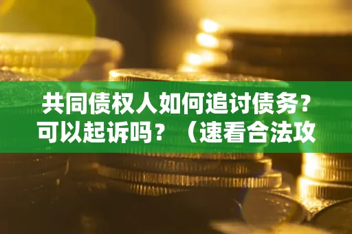 济南共同债权人如何追讨债务？可以起诉吗？（速看合法攻略）